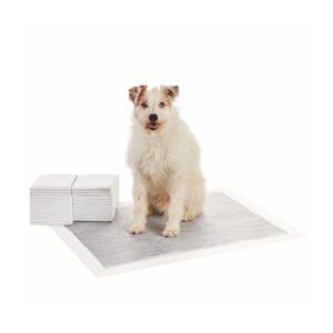 Pet Training Behavior Aids for Dogs and Other Pets